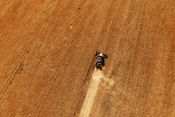 Harvesting of grain in summer. Drone aerial view of harvester working in field. Combine harvester agricultural machine collecting golden ripe wheat or rye on field. View from above. Copy space