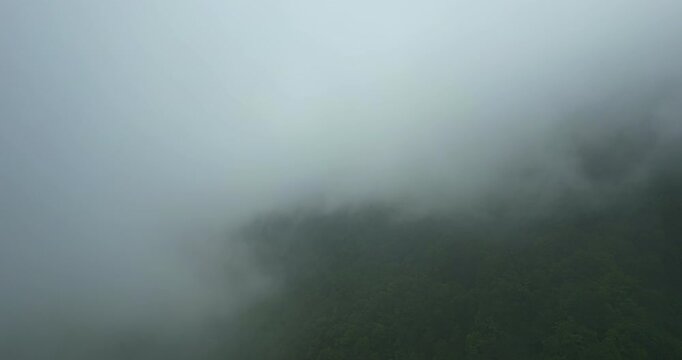 A mesmerizing 4K UHD aerial drone footage showcasing a foggy forest landscape, captured in professional quality. Perfect for nature, misty landscapes, and atmospheric visuals. Camlihemsin, Rize,Turkey