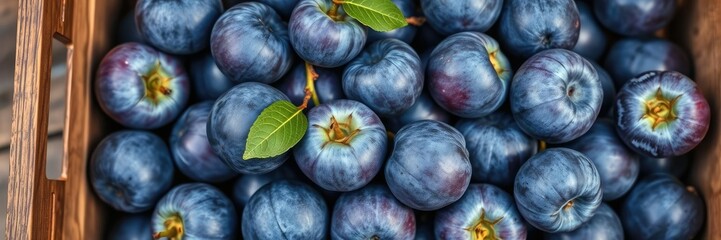 A beautiful image of a cluster of ripe blue plums arranged artfully in a wooden crate, still life, blue plums, botanicals