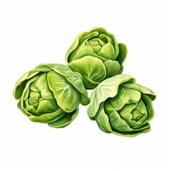 Fototapeta premium the AI Image Generator, Fresh Heads of Green Lettuce Isolated