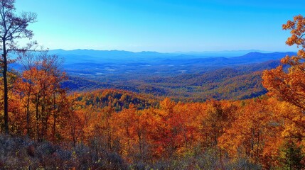 Fototapeta premium autumn in the mountains