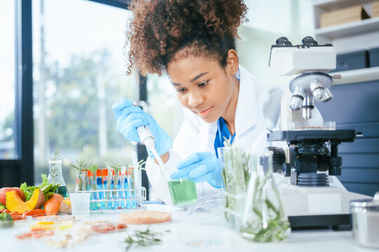 An African American female scientist works at her desk in a laboratory, closely examining a meat sample under a microscope.She focuses on modification,plant genetics,innovations in food meat research