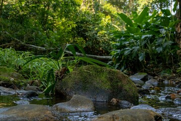 Cachoeira Natureza &Aacute;gua Pedras