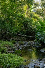 Cachoeira Natureza Água Pedras