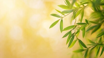 Delicate willow branches in fresh green, soft morning light, serene and minimalist Qingming Festival scene.