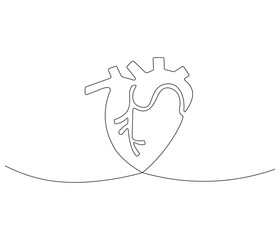Simple continuous one line drawing of human heart. Single line drawing illustration of heart. Anatomical concept vector art. Doodle line illustration.