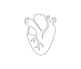 Simple continuous one line drawing of human heart. Single line drawing illustration of heart. Anatomical concept vector art. Doodle line illustration.