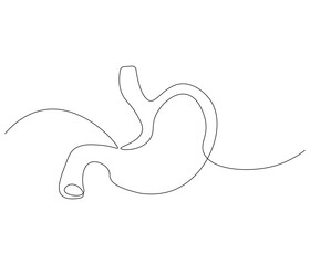 Simple continuous one line drawing of stomach . Single line drawing illustration of stomach. Anatomical concept vector art. Doodle line illustration.