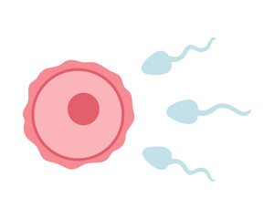 Egg cell, ovum and sperm illustration in cartoon flat style. Fertilization process.