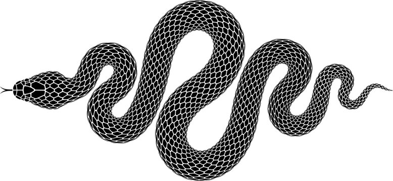 Vector tattoo design of snake wriggling in shape of rhombus. Isolated silhouette of diamond shaped black serpent.