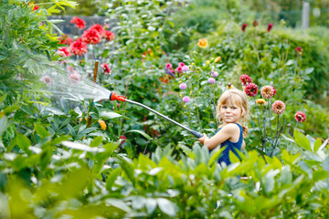 Beautiful little toddler girl watering garden flowers with water hose on summer day. Happy child...