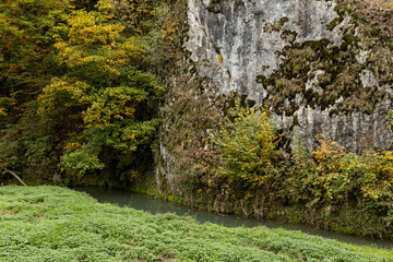 Mountain wild river valley landscape. Beautiful natural background
