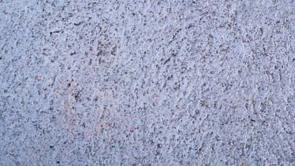 The textured background is a rough cement floor with black and white stone patches.