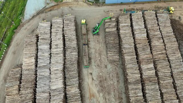 Vis&atilde;o a&eacute;rea de estoque de madeiras para a produ&ccedil;&atilde;o de papel e celulose