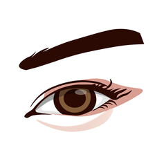 Vector of girl eyebrow and eye