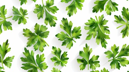 Fresh Tasty Parsley Leaves on White Background: Culinary Herb for Cooking