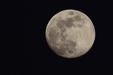 Full moon in black night sky. n in black night sky. 