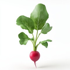 Minimalist 3D Illustration of a Single Radish with Leaves