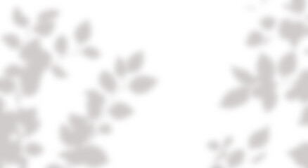 Leaf shadow in sunlight png