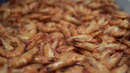 Shrimps on display at food market. Seafood sale