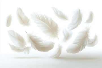 Naklejka premium a realistic vector illustration of various white feathers gracefully falling and twirling against a clean white backdrop, showcasing their delicate textures and soft forms