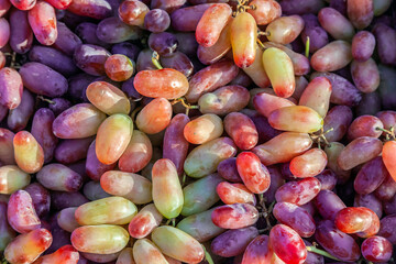Large grapes purple green, clusters berries grapes background wallpaper