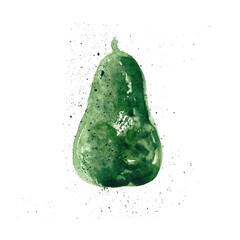Watercolor vector of avocado fruit, isolated on a white background, and avocado fruit vector