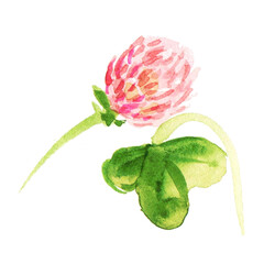 Watercolor clover with flowers