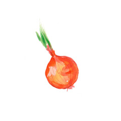 onion on a white background
