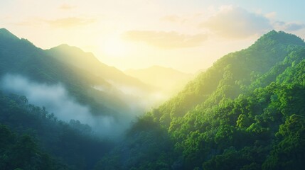 Fototapeta premium Sunrise over misty green mountains with rays of light piercing through the haze