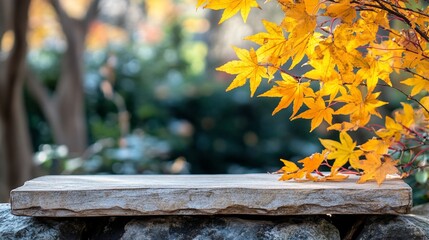 Stone platform with autumn leaves.