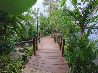 Serene Garden Pathway with Lush Green Surroundings
