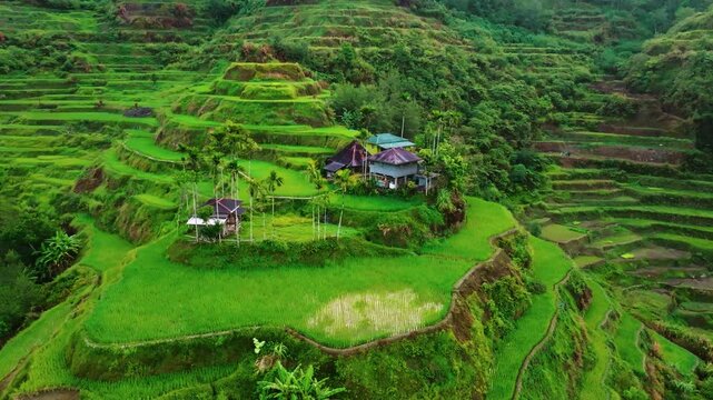 Aerial view of Banaue Rice Terraces, Ifugao, Philippines.
these ancient rice fields cascading down the mountainside, a testament to the ingenuity and perseverance of the Ifugao people