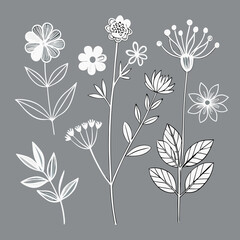 Five simple, minimalist line art drawings of various wildflowers and foliage on a light gray with white background
