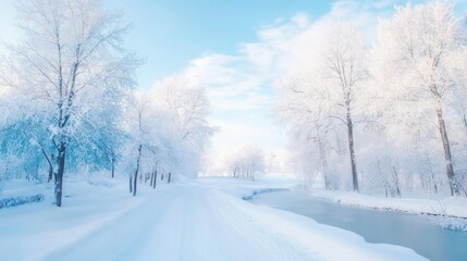 Obraz premium A snow-covered road flanked by frosty trees under a hazy blue sky