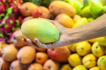 Colorful ripe mango on hand