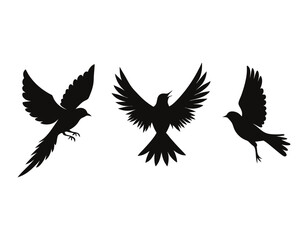 Obraz premium set of three bird silhouettes in flight, suitable for nature-inspired projects, emphasizing the beauty and freedom of avian movemen