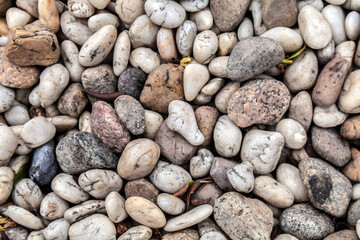 Garden center. Gardening, shop. Landscape design. Stones.