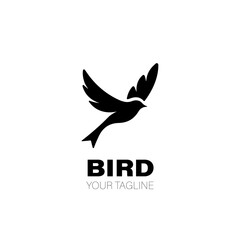 Bird Logo. Bird Logo Design. Bird Logo Brand. Bird Logo Vector Design Isolated on White Background