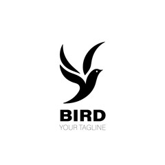 Bird Logo. Bird Logo Design. Bird Logo Brand. Bird Logo Vector Design Isolated on White Background