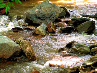 stream in the mountains