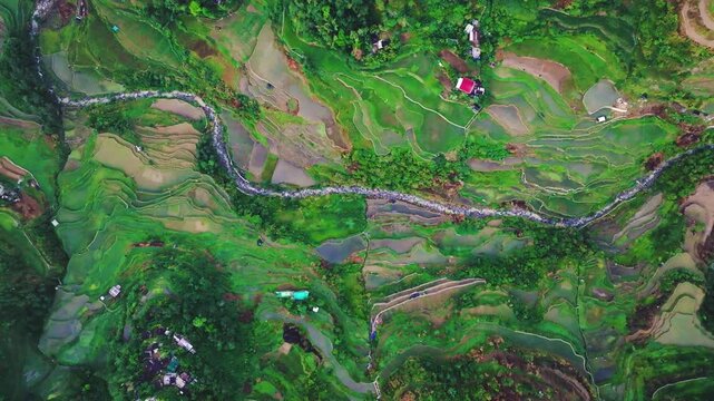 Aerial view of Banaue Rice Terraces, Ifugao, Philippines.
these ancient rice fields cascading down the mountainside, a testament to the ingenuity and perseverance of the Ifugao people