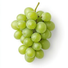 Harvesting fresh green grapes vineyard food photography nature close-up organic freshness, isolated on white background