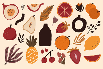 Hand Drawn Fruits Doodle Cute Tropical Fruit Fresh and Healthy Meal Breakfast, Citrus, Kiwi, Pineapple, Smoothie, Salad, Fruit Vector Illustration