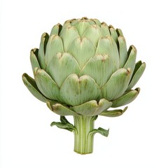 Obraz premium Fresh artichoke harvest farmers market food photography urban setting close-up culinary inspiration, isolated on white background