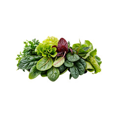 Aromatic Greens: A vibrant blend of fresh, leafy greens, including spinach, lettuce, and herbs, arranged in a captivating display.