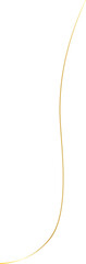 Elegant Golden Thread Line Art