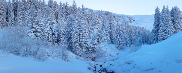 Schneebedeckte Tannen in Winterlandschaft, Österreich, Europa, Panorama 