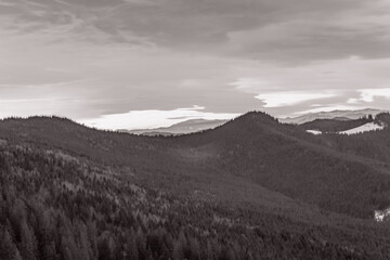 Landscapes - Forest - Europe, Romania, Suceava region 