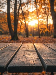 Autumn Sunset Bench